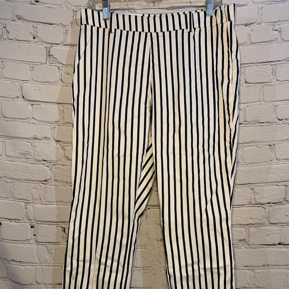 H&M Trouser Pants